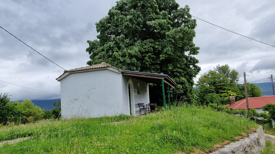 Τα σπάνια αρχαιολογικά ευρήματα στο Πωγώνι Ιωαννίνων 