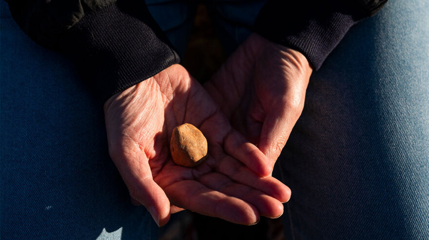 Αναζητώντας τον σύγχρονο χρησμό στους Δελφούς