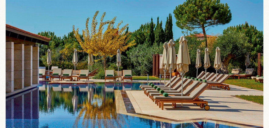 Ηλίας Γεωργιάδης: Ο επίμονος αμπελουργός κάνει το Costa Navarino Βουργουνδία