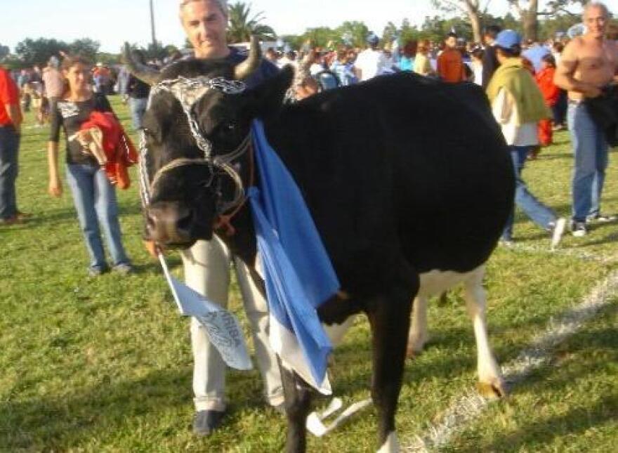 Στην Ουρουγουάη το... τερμάτισαν - Πρόβατο εμφανίστηκε στην κερκίδα σε αγώνα ποδοσφαίρου