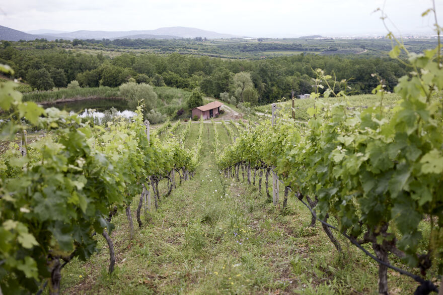 ﻿Στο κτήμα του Γιάννη Μπουτάρη ο Κυριάκος Μητσοτάκης