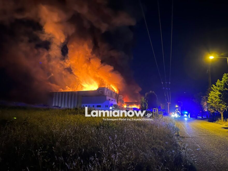 Άρειος Πάγος: Παρέμβαση για τα αίτια της πυρκαγιάς στο εργοστάσιο της εταιρείας «Γιαννίτση» στη Λαμία
