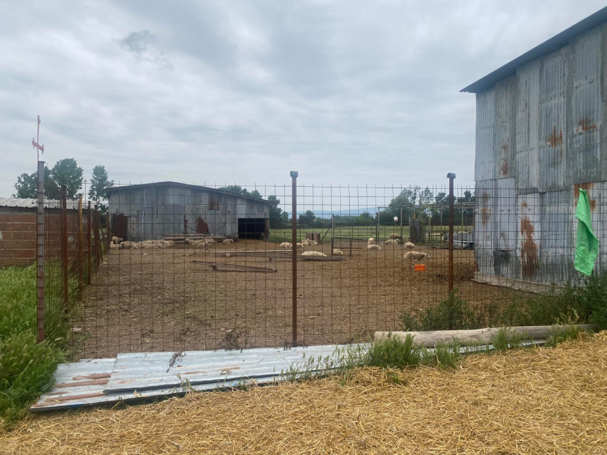 Κιλκίς: Βρισκόμουν σε άμυνα, υποστηρίζει ο 54χρονος κτηνοτρόφος που πυροβόλησε και σκότωσε Γεωργιανό ληστή 