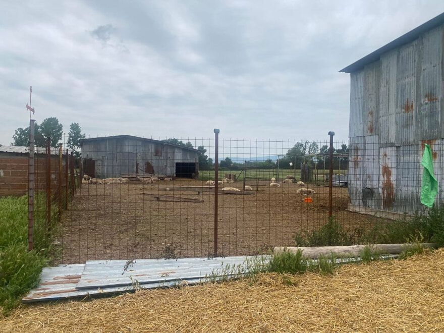 Κιλκίς: Κτηνοτρόφος πυροβόλησε και σκότωσε Γεωργιανό ληστή