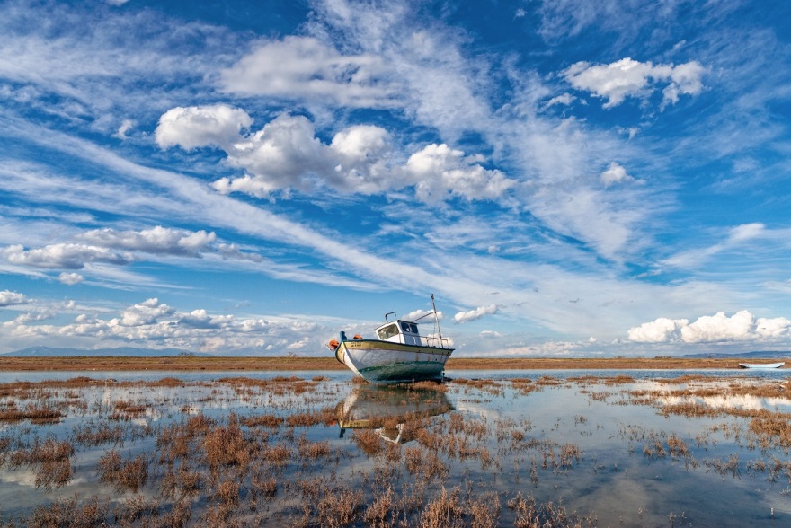 WWF: Μέρα γιορτής για τις 446 περιοχές Νatura της Ελλάδας - Δείτε βίντεο και φωτογραφίες