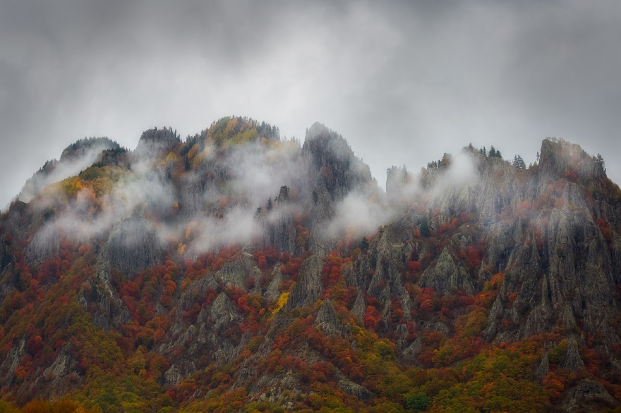 WWF: Μέρα γιορτής για τις 446 περιοχές Νatura της Ελλάδας - Δείτε βίντεο και φωτογραφίες