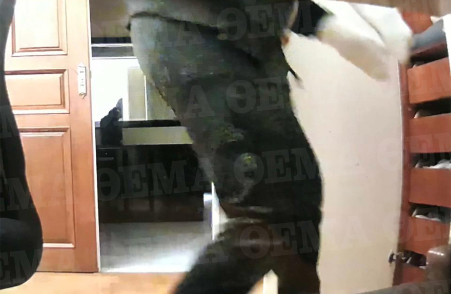 Νίκαια: Έκανε διακοπές και έβλεπε live τους κλέφτες να κάνουν πλιάτσικο στο σπίτι του - Φωτογραφίες ντοκουμέντο