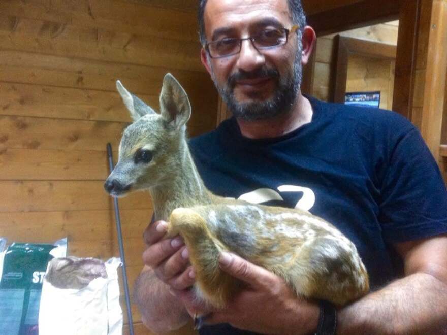 Τραυματισμένα και ορφανά ζαρκαδάκια περιέθαλψαν στην Καστοριά – Δείτε φωτογραφίες