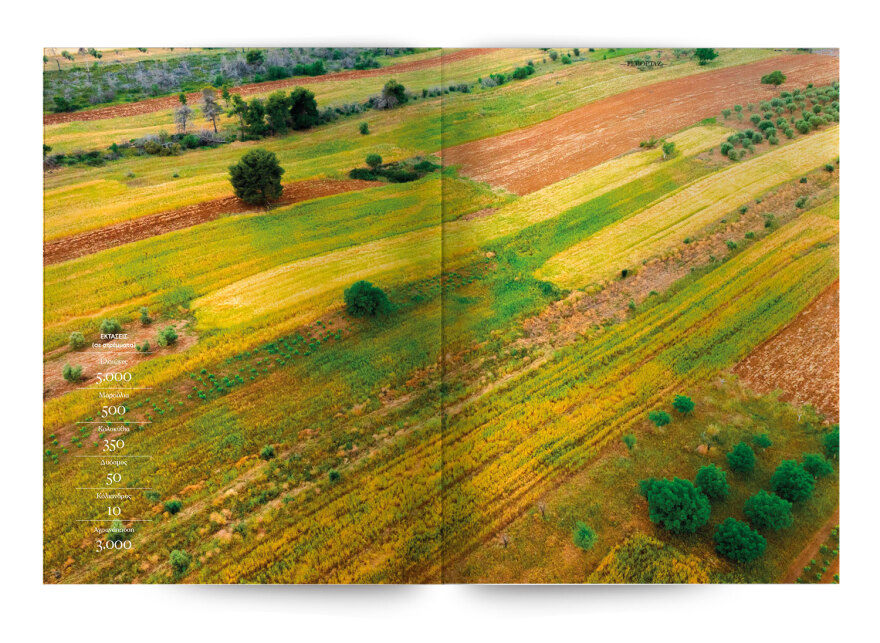 Αυτή την Κυριακή  μη χάσετε το Πρώτο Θέμα