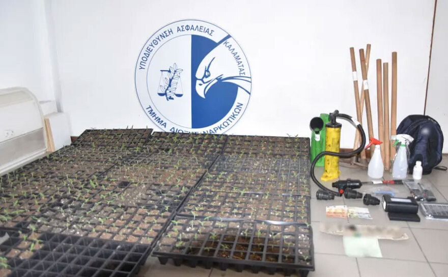 Τεράστιο φυτώριο κάνναβης στη Μεσσηνία θα απέφερε 1.000.000 ευρώ