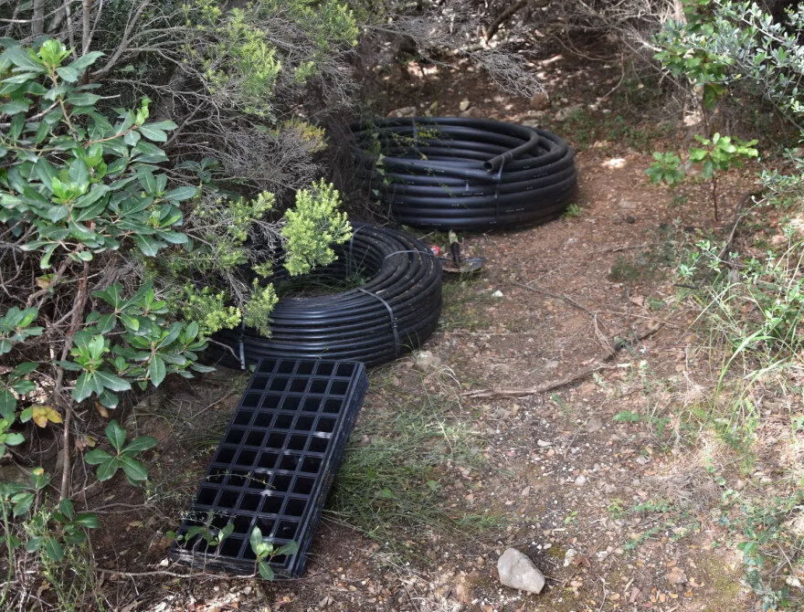 Τεράστιο φυτώριο κάνναβης στη Μεσσηνία θα απέφερε 1.000.000 ευρώ