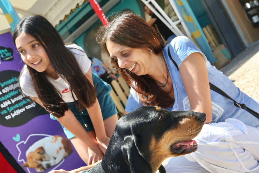 17η Ημέρα Υιοθεσίας Pet City-topetmou.gr: Αδεσποτάκια βρίσκουν το παντοτινό τους σπίτι