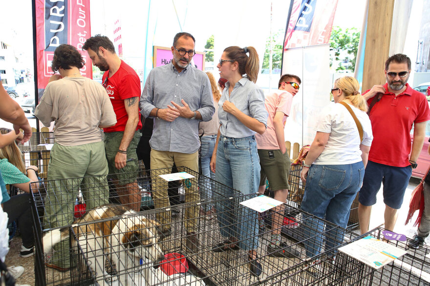 17η Ημέρα Υιοθεσίας Pet City-topetmou.gr: Αδεσποτάκια βρίσκουν το παντοτινό τους σπίτι