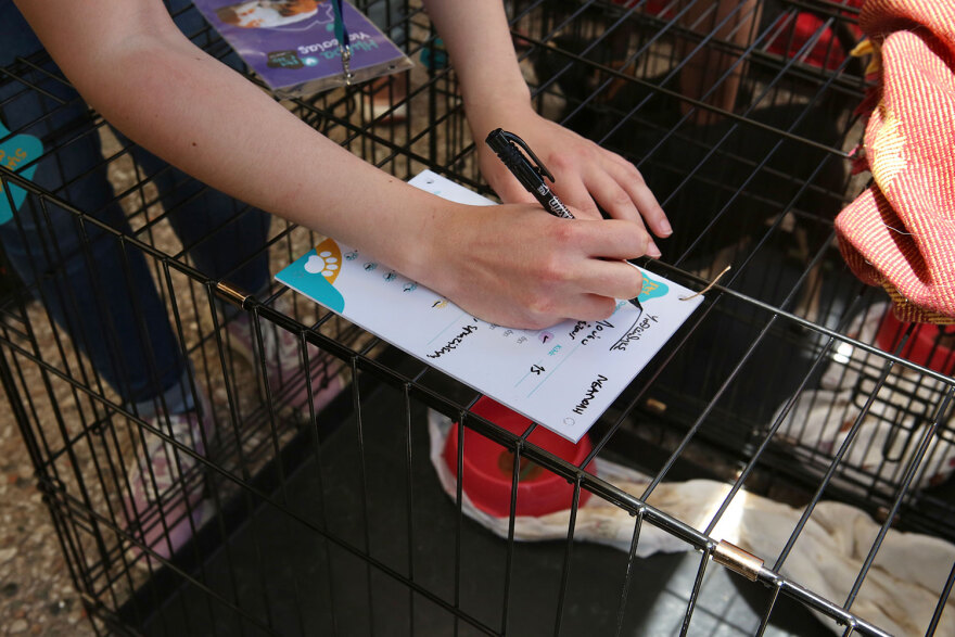 17η Ημέρα Υιοθεσίας Pet City-topetmou.gr: Αδεσποτάκια βρίσκουν το παντοτινό τους σπίτι