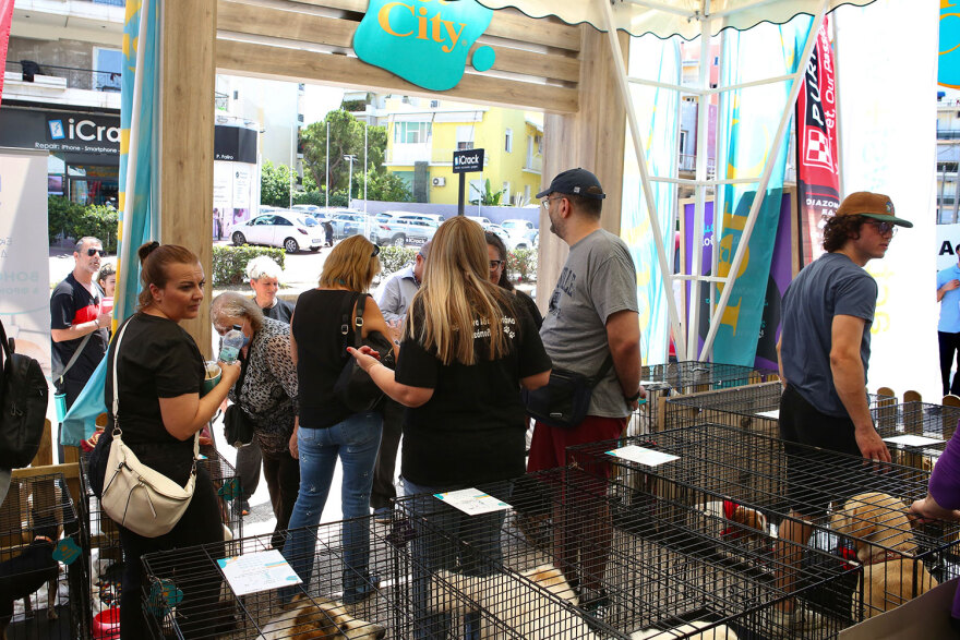 17η Ημέρα Υιοθεσίας Pet City-topetmou.gr: Αδεσποτάκια βρίσκουν το παντοτινό τους σπίτι