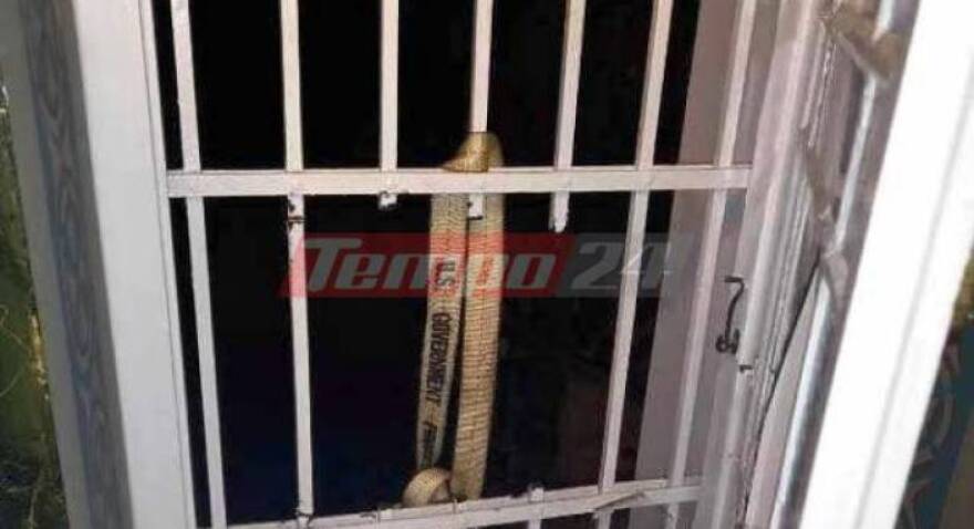 Πάρνηθα: Επιτέθηκαν και μαχαίρωσαν εθελοντές που καθάριζαν την περιοχή - Δείτε φωτογραφίες