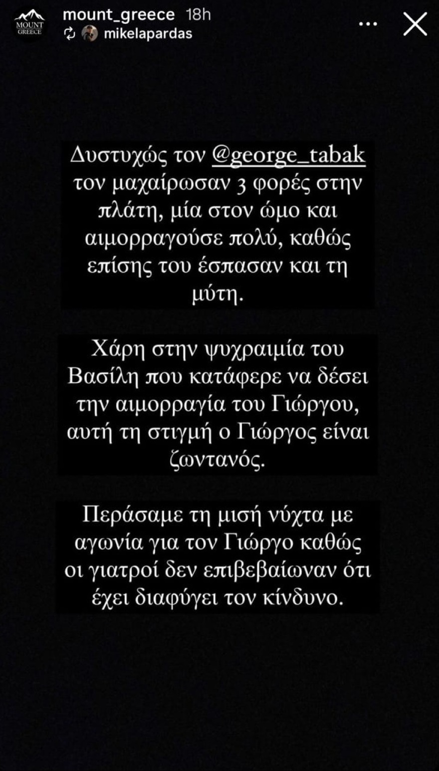 Πάρνηθα: Επιτέθηκαν και μαχαίρωσαν εθελοντές που καθάριζαν την περιοχή - Δείτε φωτογραφίες