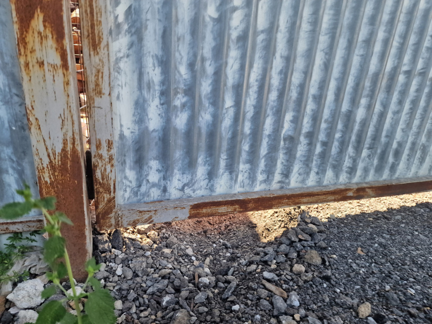 Θεσσαλονίκη: «Έκανε κομμάτια το σκυλάκι» - Συγκλονίζει περιγραφή για την επίθεση που δέχθηκε γυναίκα από πίτμπουλ