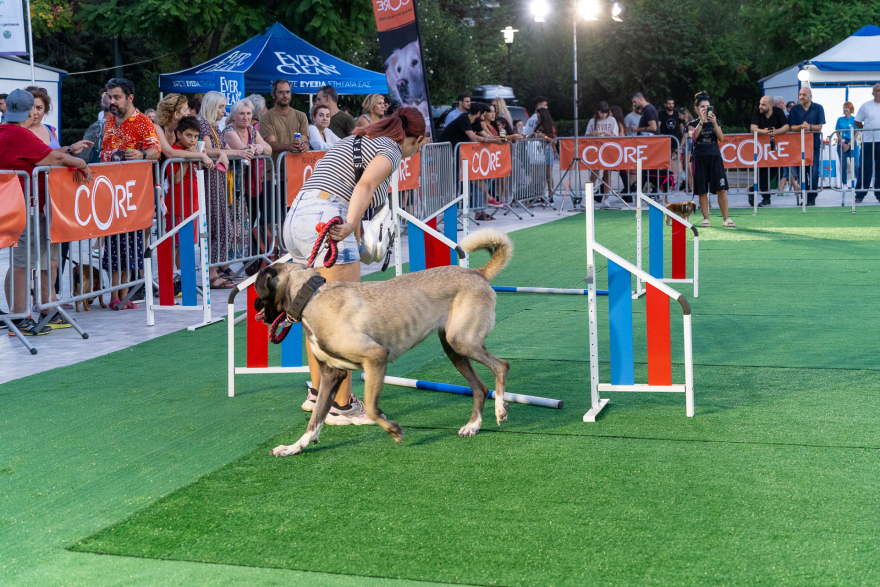 Woof Festival στο Πεδίον του Άρεως: Η μεγάλη γιορτή της φιλοζωίας στο κέντρο της Αθήνας από topetmou.gr