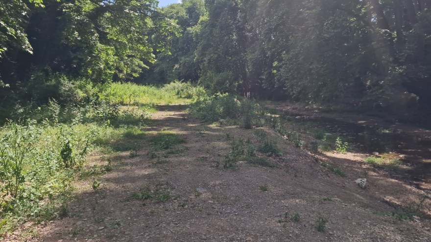 Θεσσαλονίκη: Τι λέει ο πατέρας της 8χρονης που εξαφανίστηκε σε σχολική εκδρομή - «Έχασε τον προσανατολισμό της»