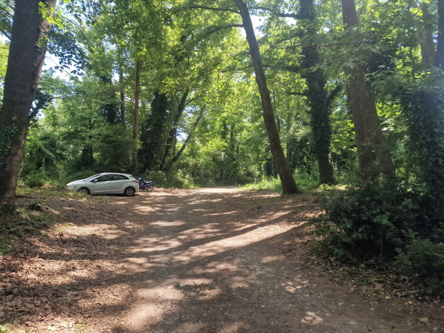 Θεσσαλονίκη: Τι λέει ο πατέρας της 8χρονης που εξαφανίστηκε σε σχολική εκδρομή - «Έχασε τον προσανατολισμό της»