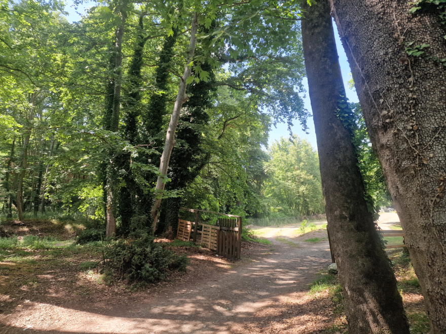 Θεσσαλονίκη: Τι λέει ο πατέρας της 8χρονης που εξαφανίστηκε σε σχολική εκδρομή - «Έχασε τον προσανατολισμό της»