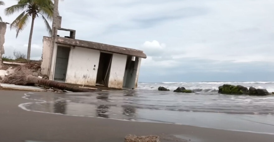 Las Barrancas: To πρώτο χωριό που βυθίζεται, ίσως σωθεί από... τα δέντρα του