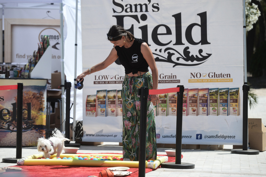 Woof Festival στο Πεδίον του Άρεως: Η μεγάλη γιορτή της φιλοζωίας στο κέντρο της Αθήνας από topetmou.gr