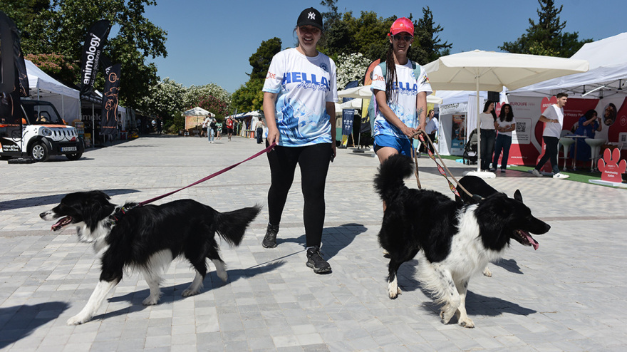 Woof Festival στο Πεδίον του Άρεως: Η μεγάλη γιορτή της φιλοζωίας στο κέντρο της Αθήνας από topetmou.gr