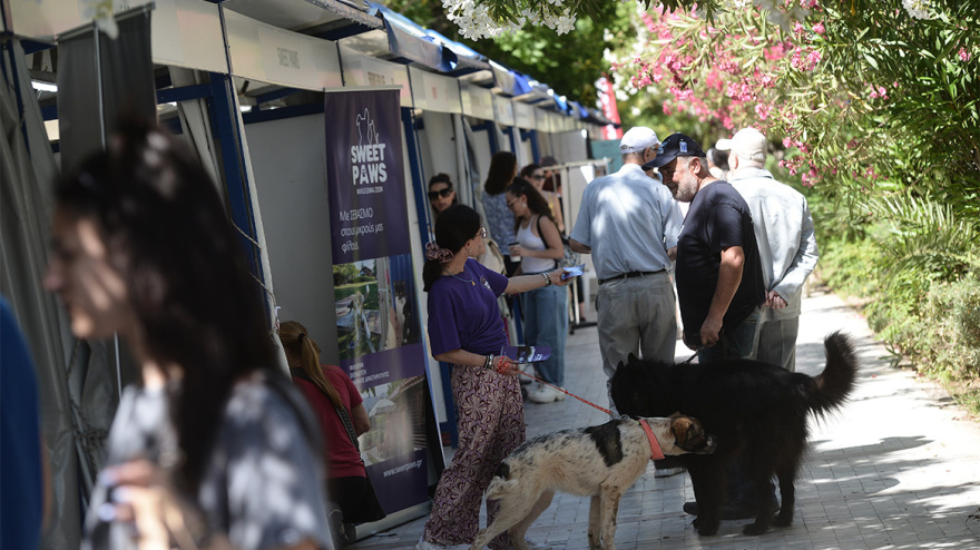 Woof Festival στο Πεδίον του Άρεως: Η μεγάλη γιορτή της φιλοζωίας στο κέντρο της Αθήνας από topetmou.gr