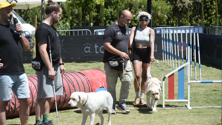Woof Festival στο Πεδίον του Άρεως: Η μεγάλη γιορτή της φιλοζωίας στο κέντρο της Αθήνας από topetmou.gr