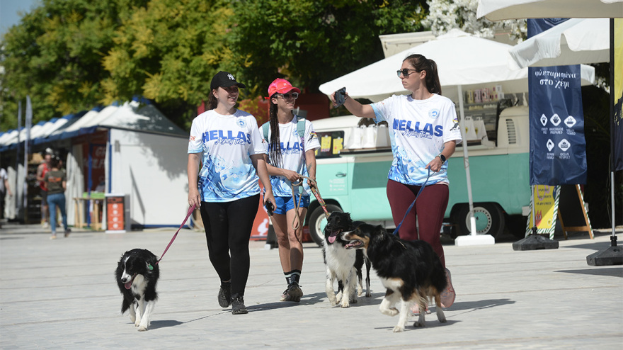Woof Festival στο Πεδίον του Άρεως: Η μεγάλη γιορτή της φιλοζωίας στο κέντρο της Αθήνας από topetmou.gr