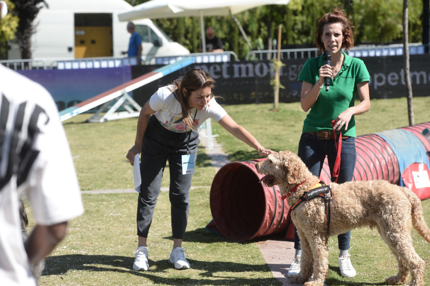 Woof Festival στο Πεδίον του Άρεως: Η μεγάλη γιορτή της φιλοζωίας στο κέντρο της Αθήνας από topetmou.gr