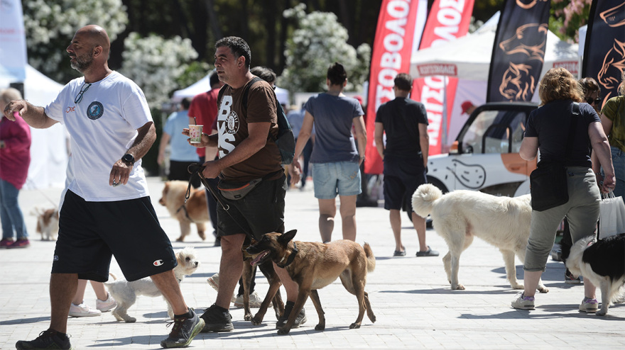 Woof Festival στο Πεδίον του Άρεως: Η μεγάλη γιορτή της φιλοζωίας στο κέντρο της Αθήνας από topetmou.gr