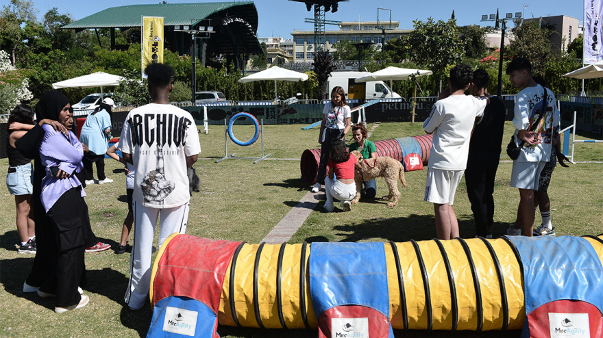 Woof Festival στο Πεδίον του Άρεως: Η μεγάλη γιορτή της φιλοζωίας στο κέντρο της Αθήνας από topetmou.gr