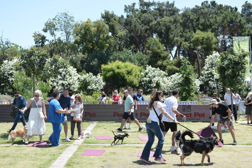 Woof Festival: Με μεγάλη επιτυχία διεξήχθη η μεγάλη γιορτή της φιλοζωίας που διοργάνωσε το topetmou.gr