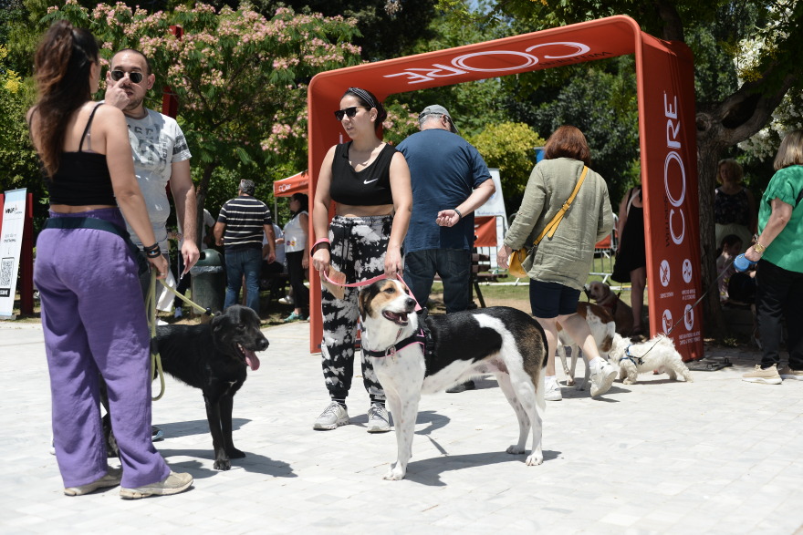 Woof Festival: Με μεγάλη επιτυχία διεξήχθη η μεγάλη γιορτή της φιλοζωίας που διοργάνωσε το topetmou.gr