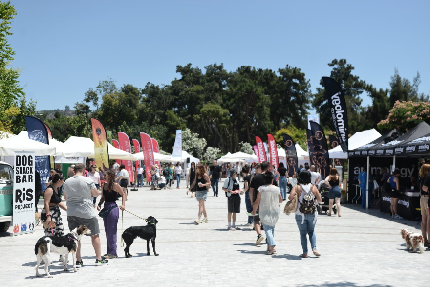 Woof Festival: Με μεγάλη επιτυχία διεξήχθη η μεγάλη γιορτή της φιλοζωίας που διοργάνωσε το topetmou.gr