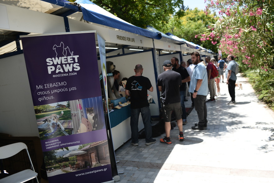 Woof Festival: Με μεγάλη επιτυχία διεξήχθη η μεγάλη γιορτή της φιλοζωίας που διοργάνωσε το topetmou.gr