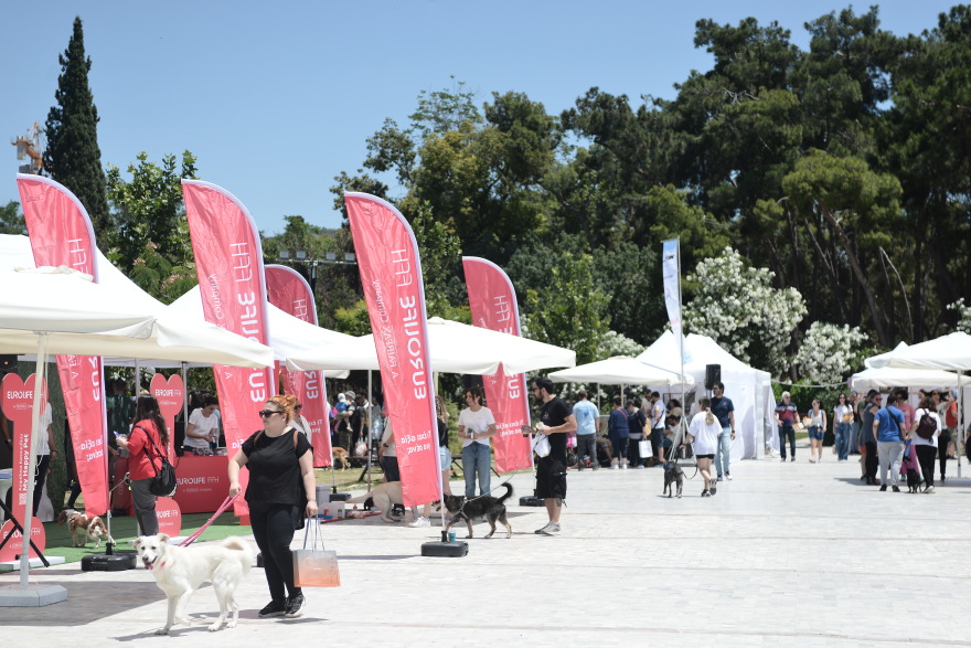 Woof Festival: Με μεγάλη επιτυχία διεξήχθη η μεγάλη γιορτή της φιλοζωίας που διοργάνωσε το topetmou.gr