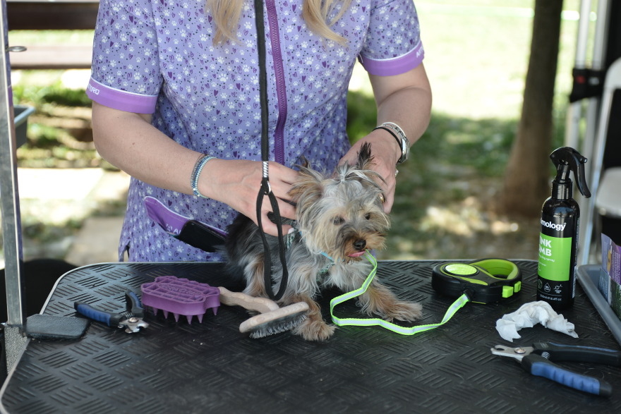 Woof Festival: Με μεγάλη επιτυχία διεξήχθη η μεγάλη γιορτή της φιλοζωίας που διοργάνωσε το topetmou.gr