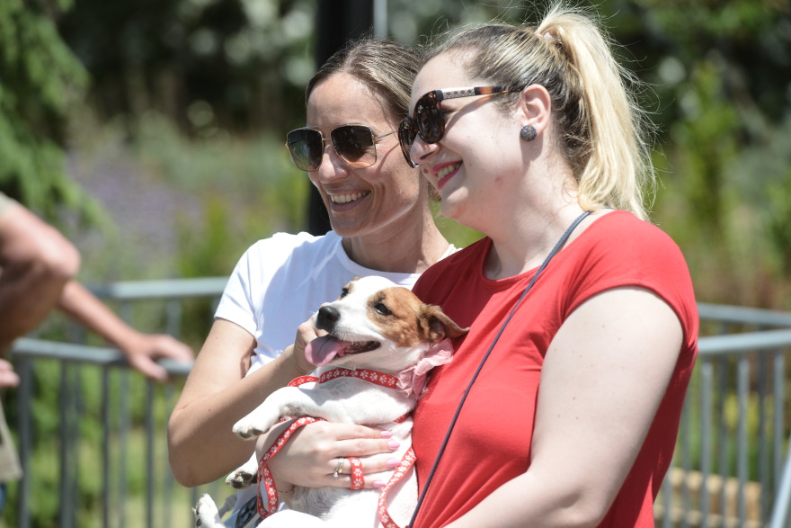 Woof Festival: Με μεγάλη επιτυχία διεξήχθη η μεγάλη γιορτή της φιλοζωίας που διοργάνωσε το topetmou.gr