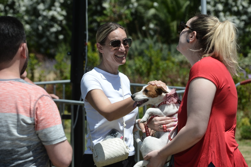 Woof Festival: Με μεγάλη επιτυχία διεξήχθη η μεγάλη γιορτή της φιλοζωίας που διοργάνωσε το topetmou.gr