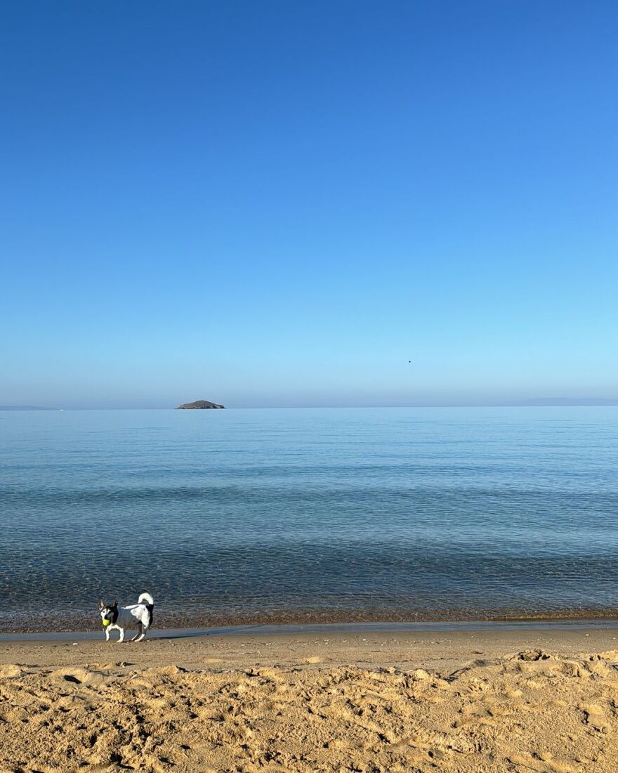 Τόνια Σωτηροπούλου: Ξανθιά στο Instagram