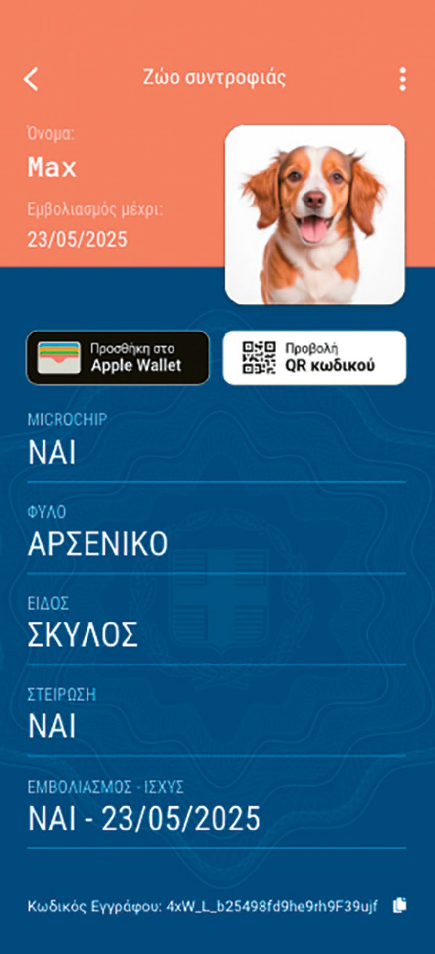 Gov.gr wallet: Στο κινητό τα ακίνητα, τα ασφαλιστικά δεδομένα, ακόμη και τα κατοικίδια