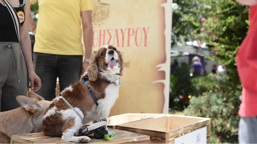 Woof Festival: Με μεγάλη επιτυχία διεξήχθη η μεγάλη γιορτή της φιλοζωίας που διοργάνωσε το topetmou.gr