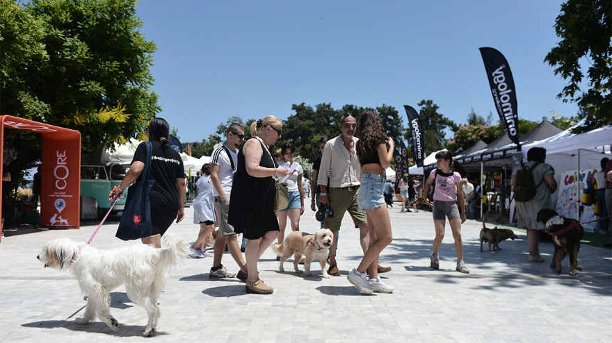 Woof Festival: Με μεγάλη επιτυχία διεξήχθη η μεγάλη γιορτή της φιλοζωίας που διοργάνωσε το topetmou.gr