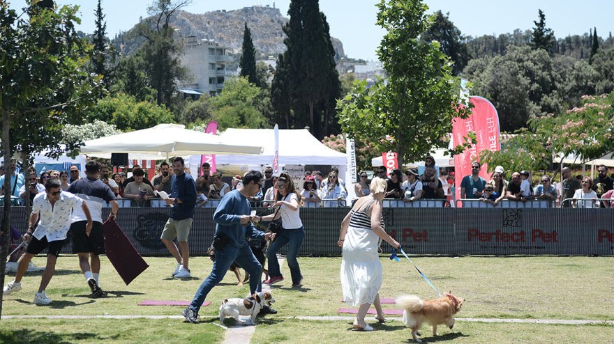 Woof Festival: Με μεγάλη επιτυχία διεξήχθη η μεγάλη γιορτή της φιλοζωίας που διοργάνωσε το topetmou.gr