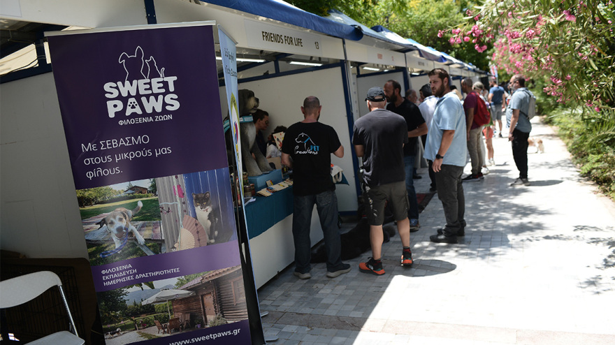 Woof Festival: Με μεγάλη επιτυχία διεξήχθη η μεγάλη γιορτή της φιλοζωίας που διοργάνωσε το topetmou.gr