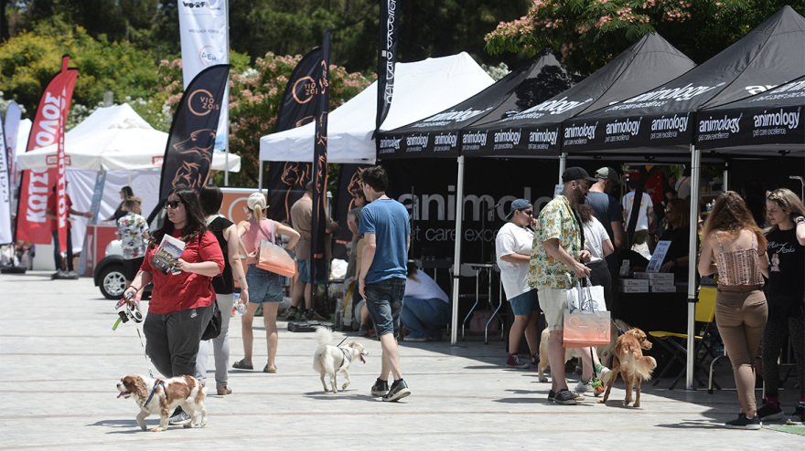 Woof Festival: Με μεγάλη επιτυχία διεξήχθη η μεγάλη γιορτή της φιλοζωίας που διοργάνωσε το topetmou.gr